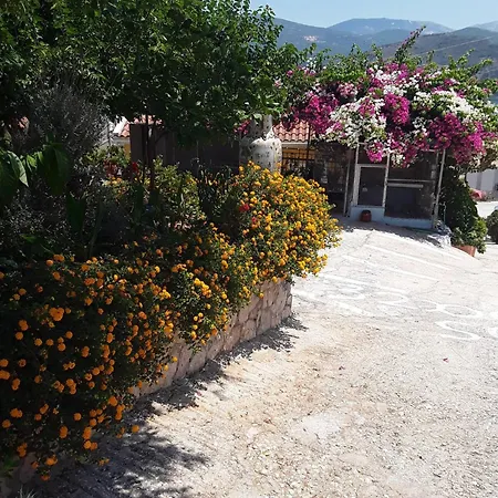 Elena Sea View House 2 *